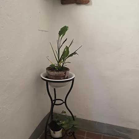Due Borghi 3* Pisa